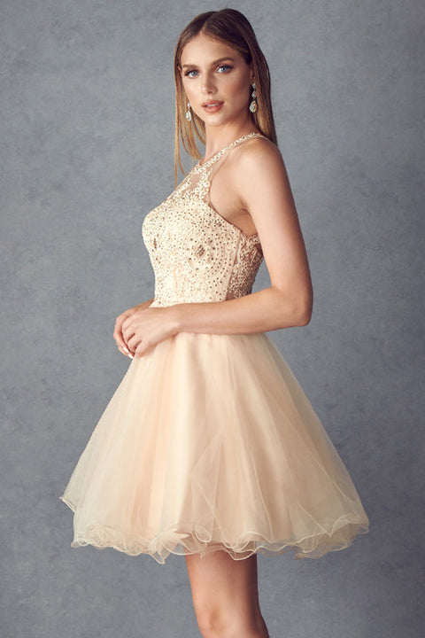 Juliet 826: Short Halter Dress with Lace Applique