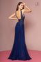 Elizabeth K GL2690: Long Dress with High Neck and Sheer Applique Top