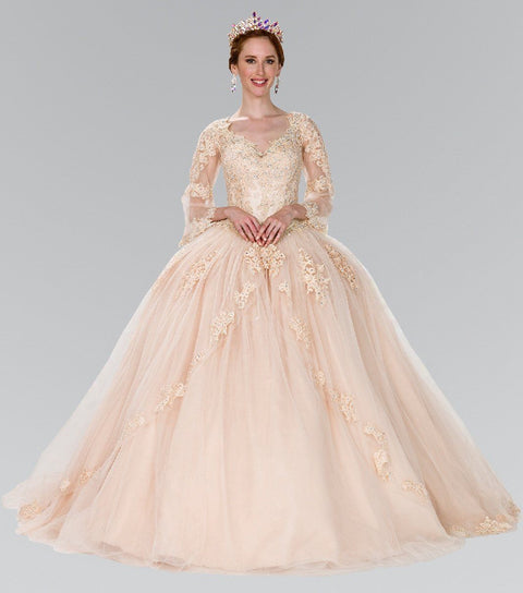 Embroidered Long Sleeved Ballgown by Elizabeth K GL2377