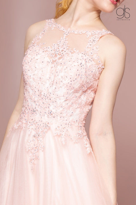 Elizabeth K GL2693's Sleeveless A-Line Dress with Sheer Lace Top