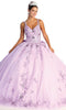 V-Neck Embroidered Prom Ballgown - May Queen LK174