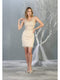 Appliqued Illusion Bodice Sheath Dress - May Queen MQ1808