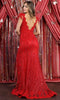 Feathered Sleeve Long Dress with V-Neckline - May Queen RQ7925