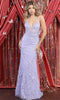 Floral Applique Prom Dress - May Queen RQ7932