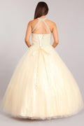 Gown with Pearl Beaded Halter by Cinderella Couture 5055