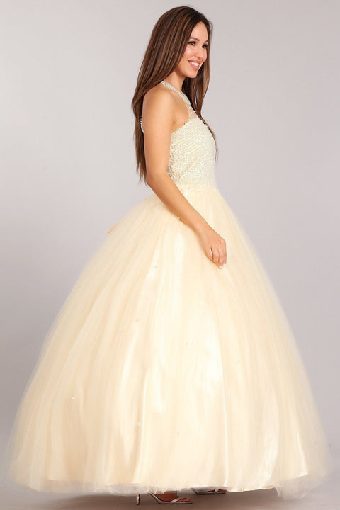 Gown with Pearl Beaded Halter by Cinderella Couture 5055
