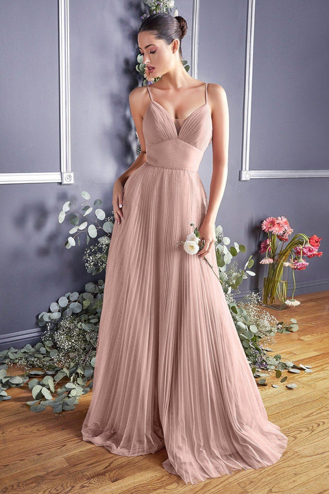 Plus Size Long Pleated Tulle Dress by Cinderella Divine CD184