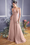Plus Size Long Pleated Tulle Dress by Cinderella Divine CD184
