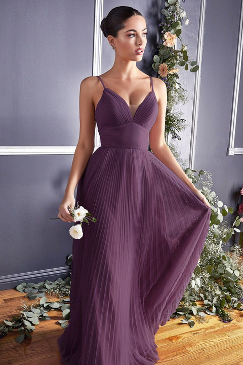 Plus Size Long Pleated Tulle Dress by Cinderella Divine CD184