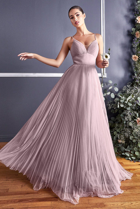 Plus Size Long Pleated Tulle Dress by Cinderella Divine CD184