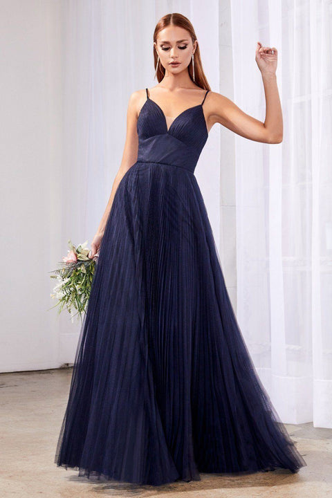 Plus Size Long Pleated Tulle Dress by Cinderella Divine CD184