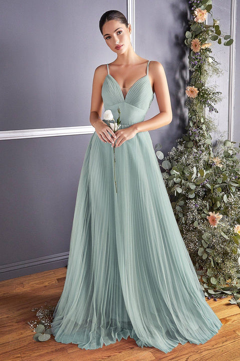 Plus Size Long Pleated Tulle Dress by Cinderella Divine CD184