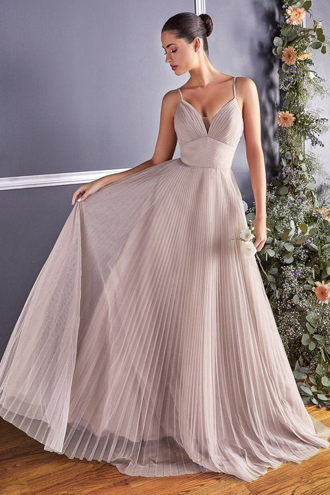 Plus Size Long Pleated Tulle Dress by Cinderella Divine CD184