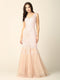 Long Sleeveless Formal Fitted Lace Prom Dress