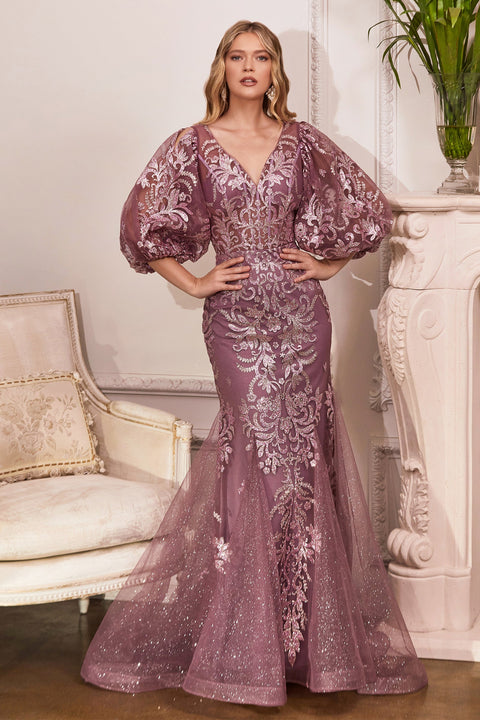 PROM DRESS BY CINDERELLA DIVINE OC009