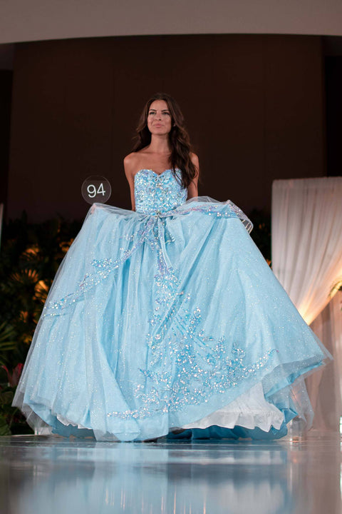 Sequined Sweetheart Strapless Ball Gown by Elizabeth K GL2947