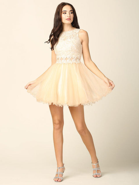 Short Prom Sleeveless Lace Cocktail Party Dress, Damas Dresses