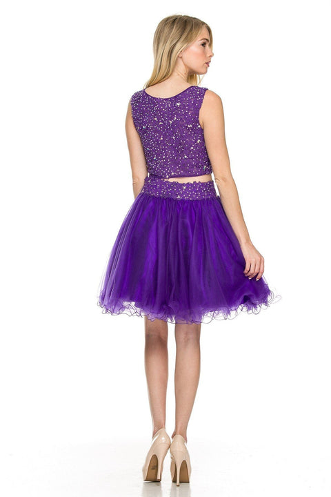 Two-Piece Short Sleeveless Lace Top Illusion Dress by Nox Anabel 6058