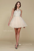 Short Tulle Bodice Dress with Embroidered Appliques by Nox Anabel B652