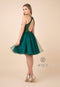 Tulle Short Dress with Halter Lace Bodice by Nox Anabel E696