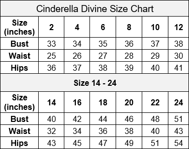 A LINE DRESS BY CINDERELLA DIVINE CD963